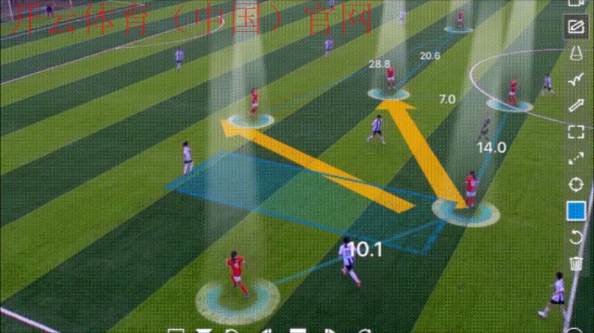 皇冠足球体育盘, 探秘皇冠足球体育盘的运作原理与最新市场动态分析